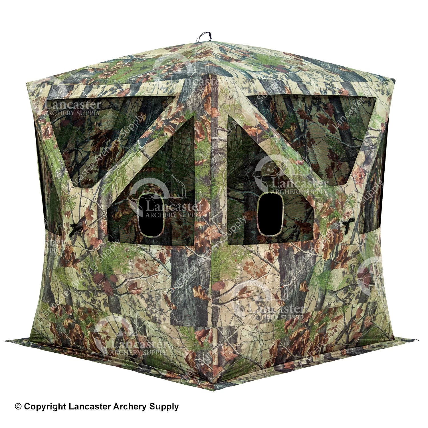 Barronett Big Cat Blind 3 Barronett Big Cat Blind