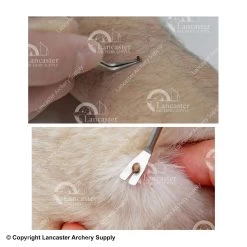 TickEase Tick Remover Tool 5 TickEase Tick Remover Tool -Outdoor Sport Store 1670026 2