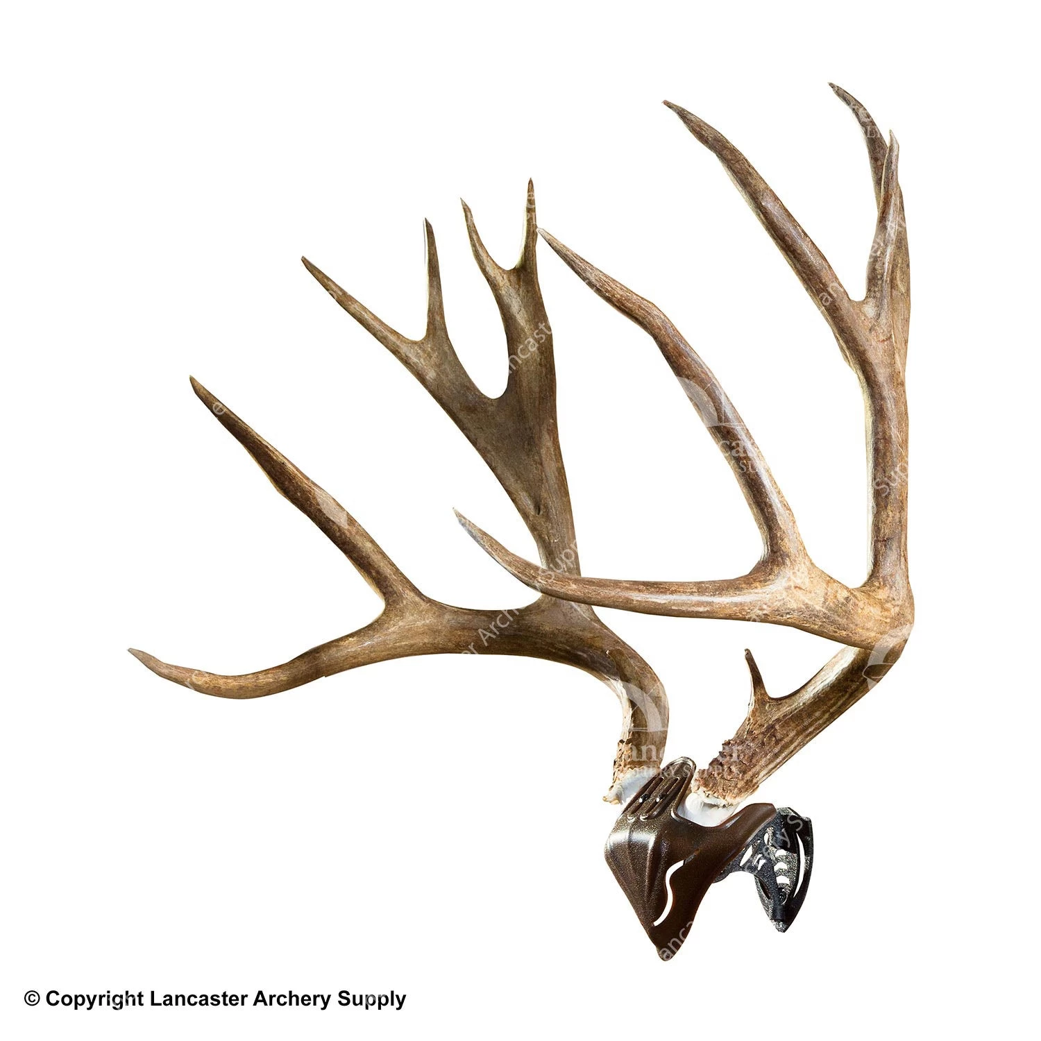 Skull Hooker Skull Cap And Bone Bracket 3 Skull Hooker Skull Cap And Bone Bracket