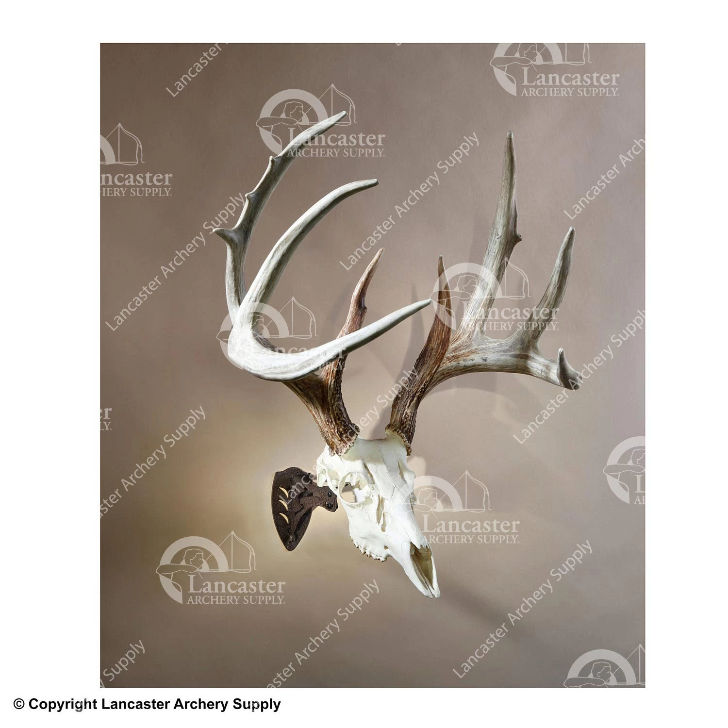 Skull Hooker Little Hooker 4 Skull Hooker Little Hooker - Image 2